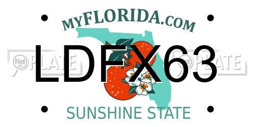 LDFX63 Florida License Plate