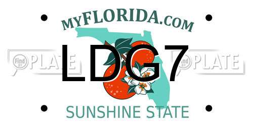 LDG7 Florida License Plate