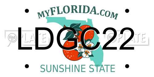 LDGC22 Florida License Plate