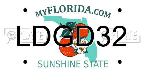 LDGD32 Florida License Plate