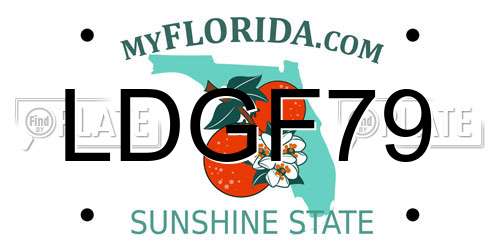 LDGF79 Florida License Plate