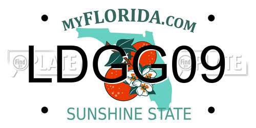 LDGG09 Florida License Plate