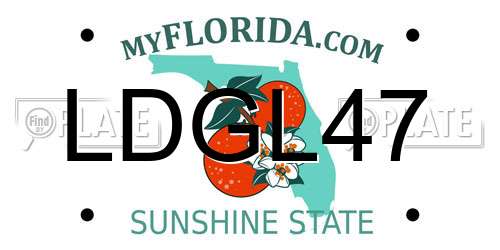 LDGL47 Florida License Plate