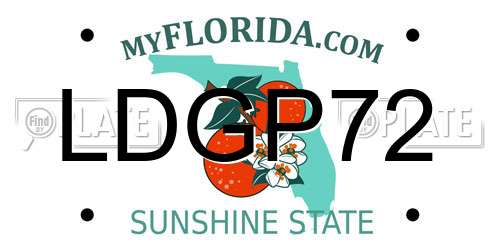 LDGP72 Florida License Plate