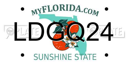 LDGQ24 Florida License Plate