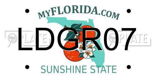 LDGR07 Florida License Plate