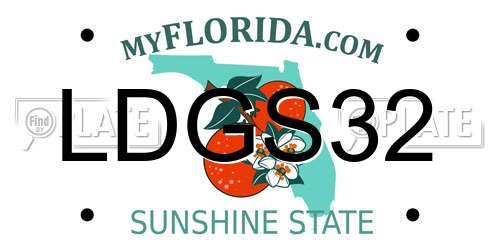LDGS32 Florida License Plate
