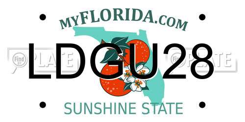 LDGU28 Florida License Plate