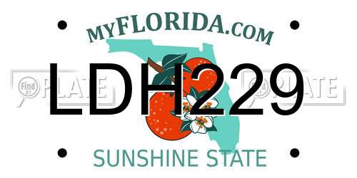 LDH229 Florida License Plate