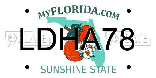 LDHA78 Florida License Plate