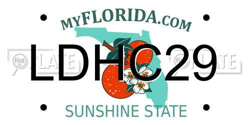 LDHC29 Florida License Plate