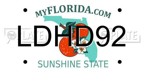 LDHD92 Florida License Plate