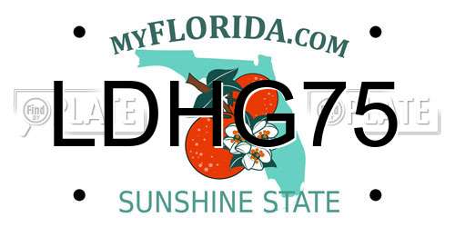 LDHG75 Florida License Plate