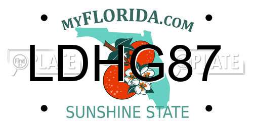 LDHG87 Florida License Plate