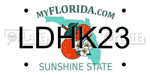LDHK23 Florida License Plate
