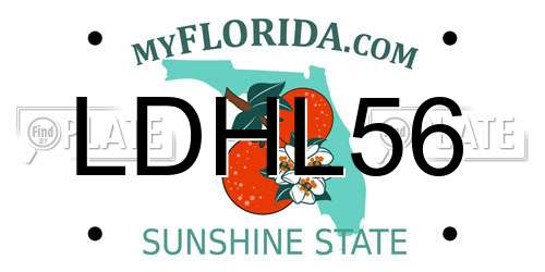 LDHL56 Florida License Plate