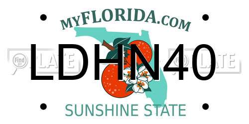 LDHN40 Florida License Plate