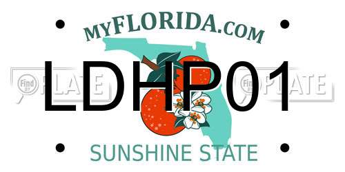 LDHP01 Florida License Plate