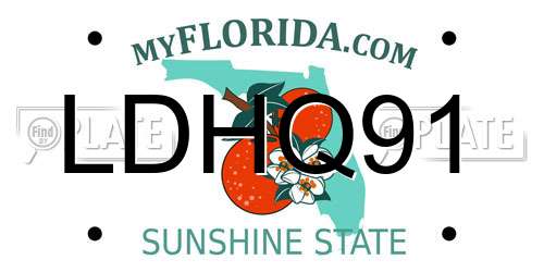 LDHQ91 Florida License Plate