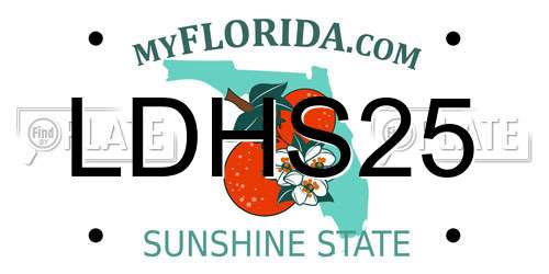LDHS25 Florida License Plate