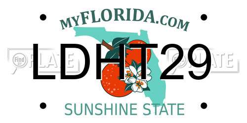LDHT29 Florida License Plate