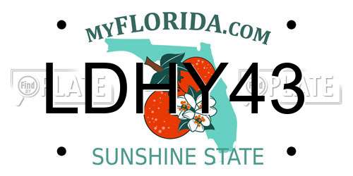 LDHY43 Florida License Plate
