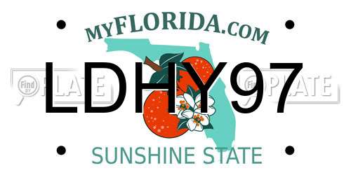 LDHY97 Florida License Plate