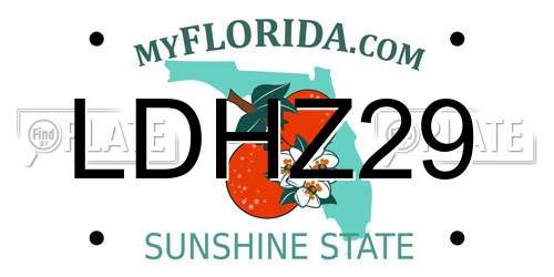 LDHZ29 Florida License Plate