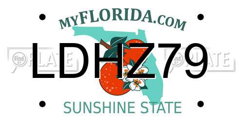 LDHZ79 Florida License Plate
