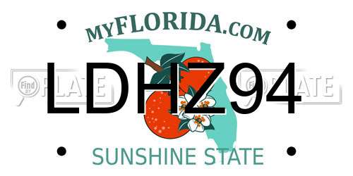 LDHZ94 Florida License Plate