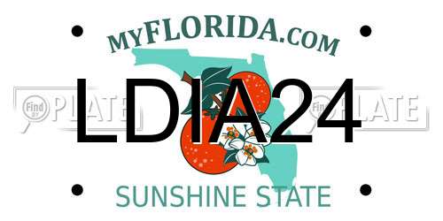 LDIA24 Florida License Plate