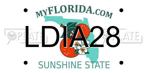 LDIA28 Florida License Plate