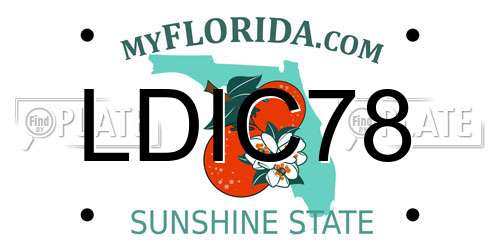 LDIC78 Florida License Plate