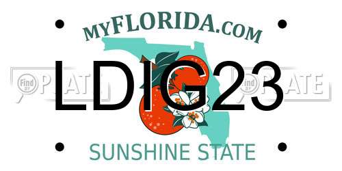 LDIG23 Florida License Plate