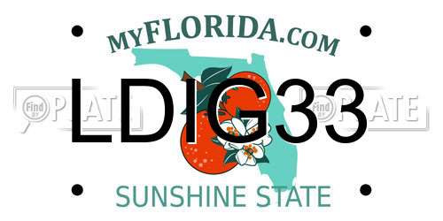 LDIG33 Florida License Plate
