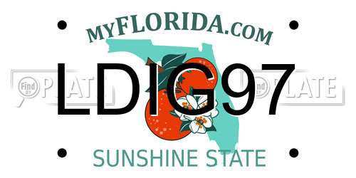LDIG97 Florida License Plate