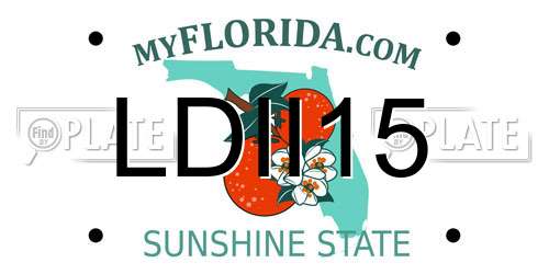 LDII15 Florida License Plate
