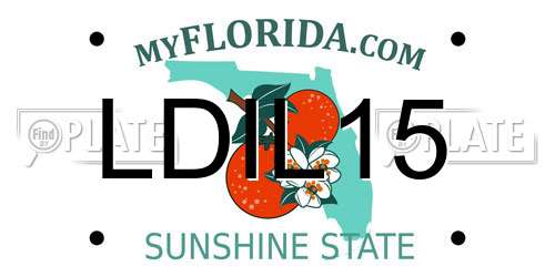 LDIL15 Florida License Plate