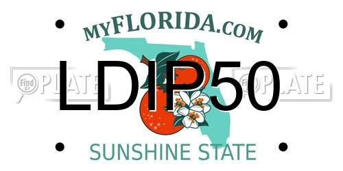 LDIP50 Florida License Plate