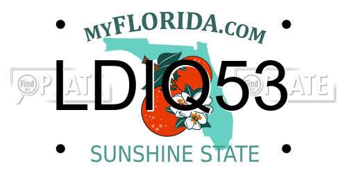 LDIQ53 Florida License Plate