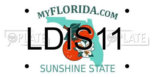 LDIS11 Florida License Plate