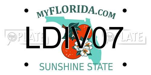 LDIV07 Florida License Plate