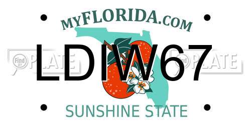 LDIW67 Florida License Plate