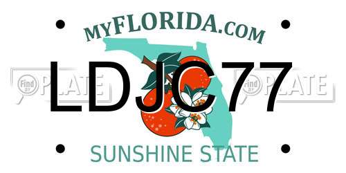 LDJC77 Florida License Plate