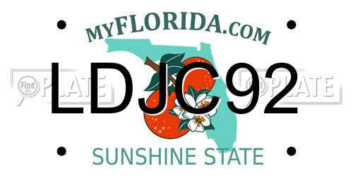 LDJC92 Florida License Plate