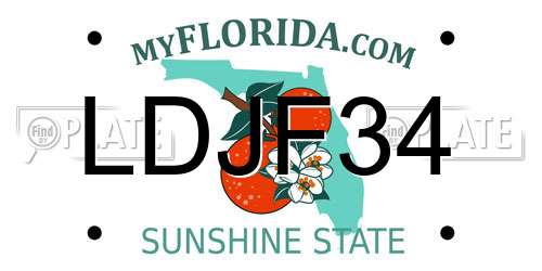 LDJF34 Florida License Plate