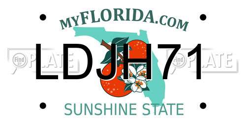 LDJH71 Florida License Plate