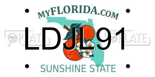 LDJL91 Florida License Plate