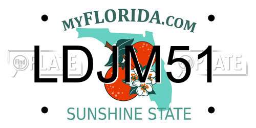 LDJM51 Florida License Plate