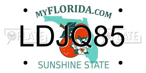 LDJQ85 Florida License Plate
